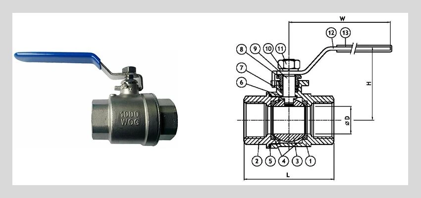 2 piece stainless steel ball valve type