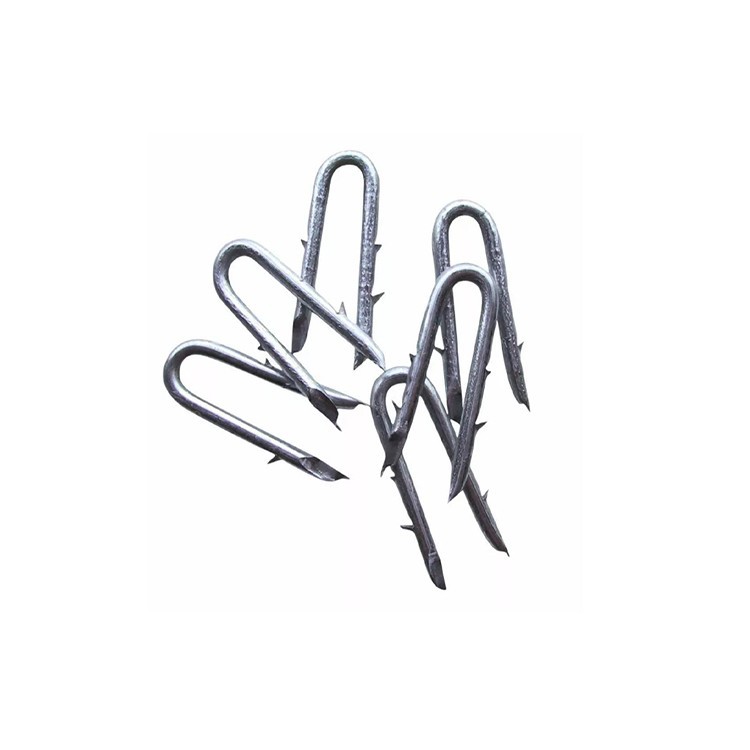 Staples U Type Nails